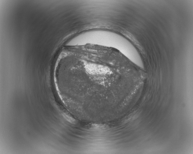 X0000068890442200606021923