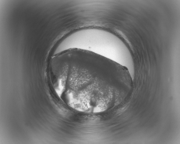 X0000068890443200606021923