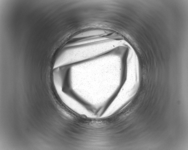 X0000068890445200606021923