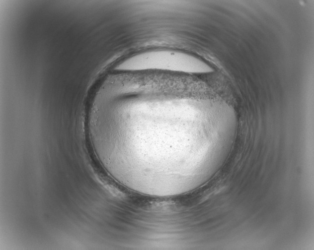 X0000068890446200606021923