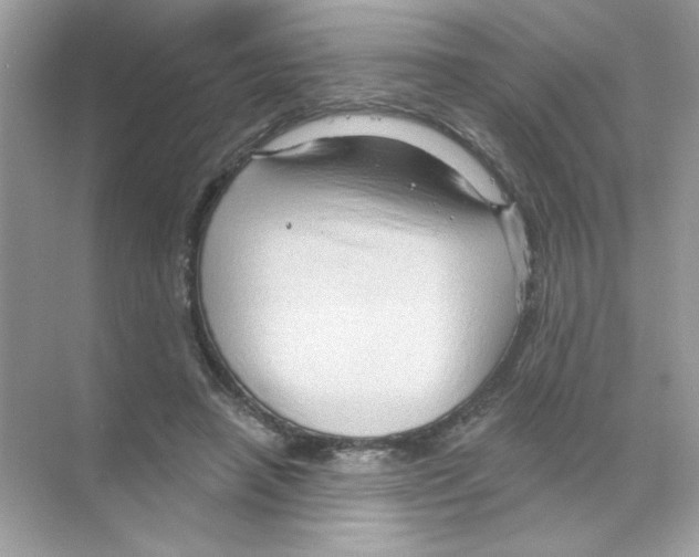 X0000068890450200606021924