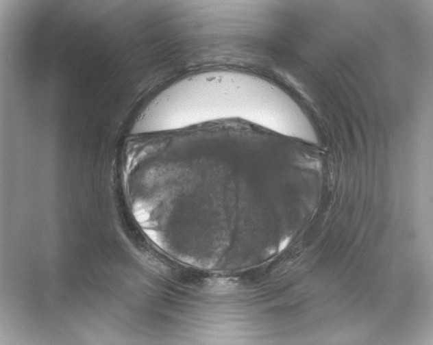 X0000068890451200606021924