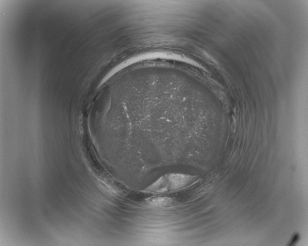 X0000068890452200606021924