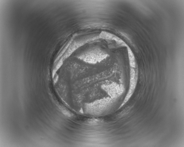 X0000068890453200606021924