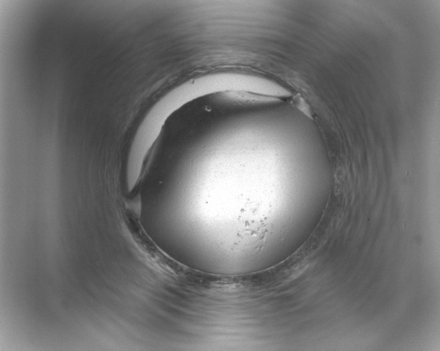 X0000068890454200606021924