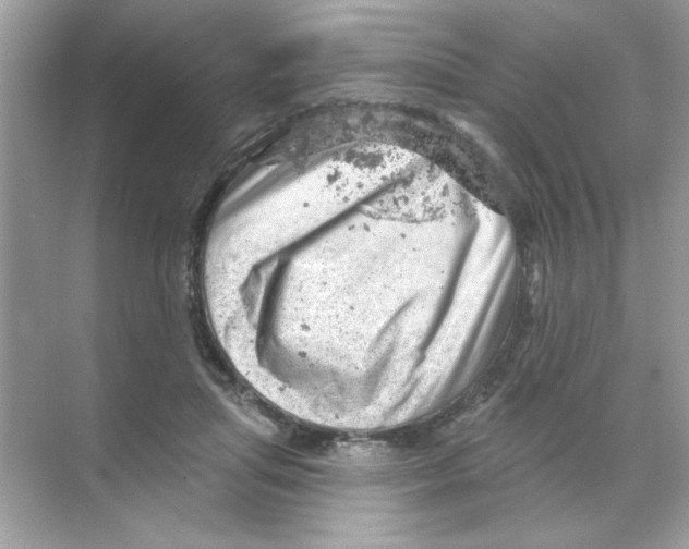 X0000068890455200606021924