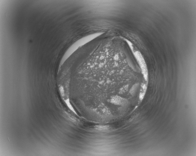 X0000068890457200606021924