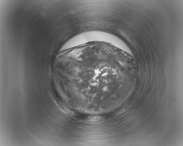 X0000068890459200606021924