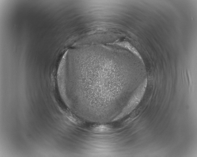 X0000068890460200606021924