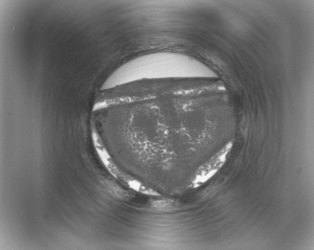 X0000068890461200606021924