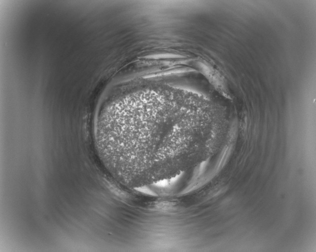 X0000068890462200606021924