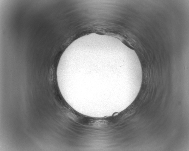 X0000068890463200606021924