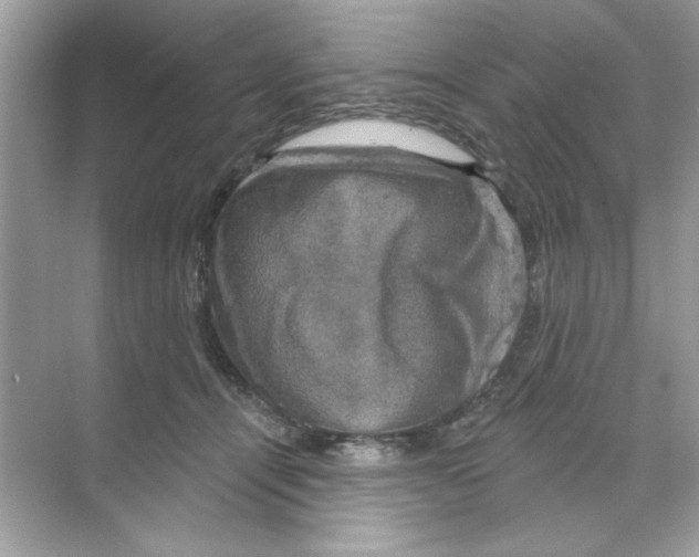 X0000068890464200606021924