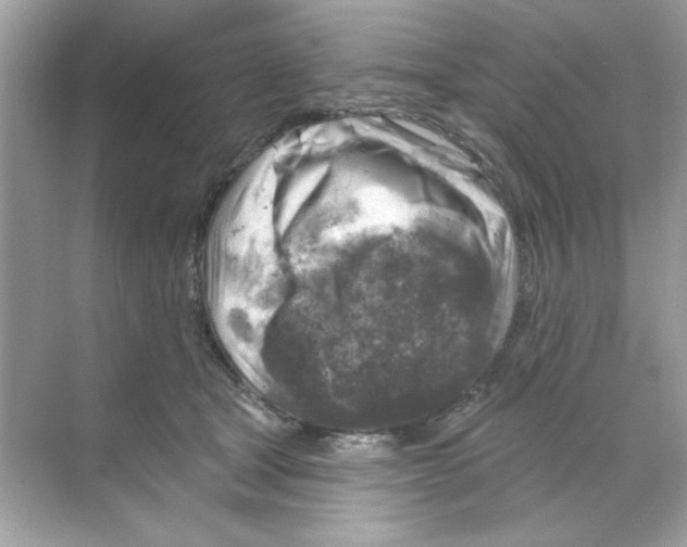 X0000068890465200606021924