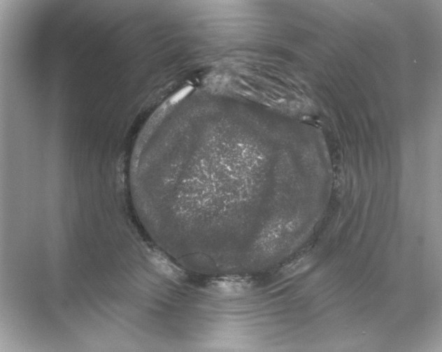 X0000068890466200606021924