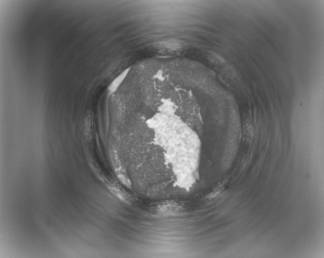 X0000068890468200606021924