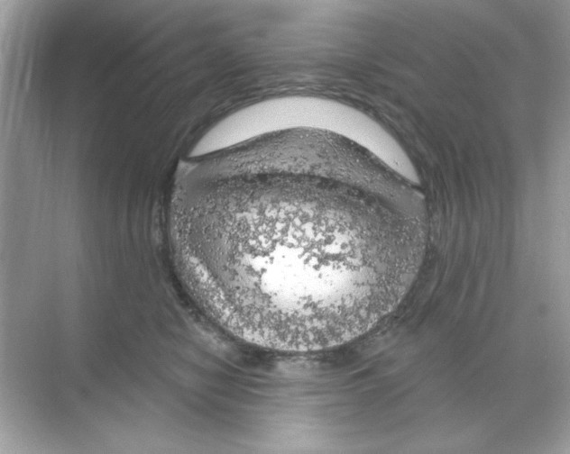 X0000068890470200606021924