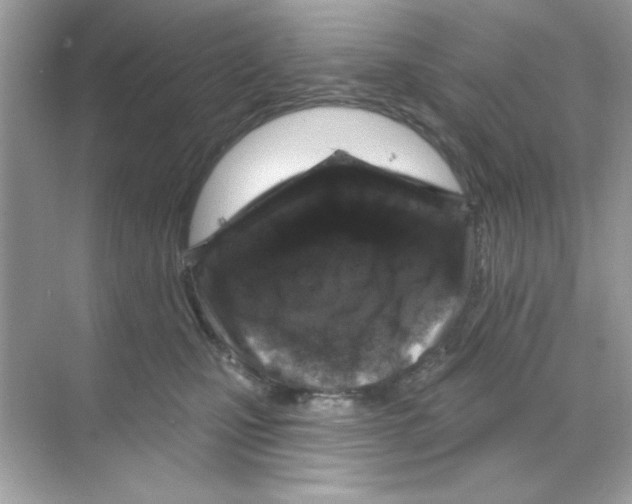 X0000068890471200606021924