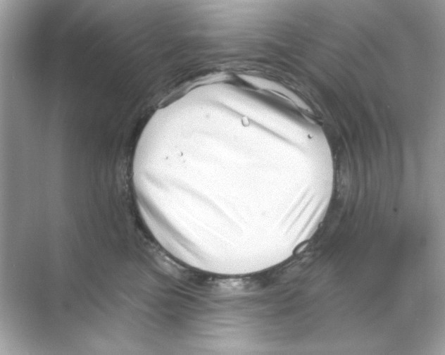 X0000068890473200606021924