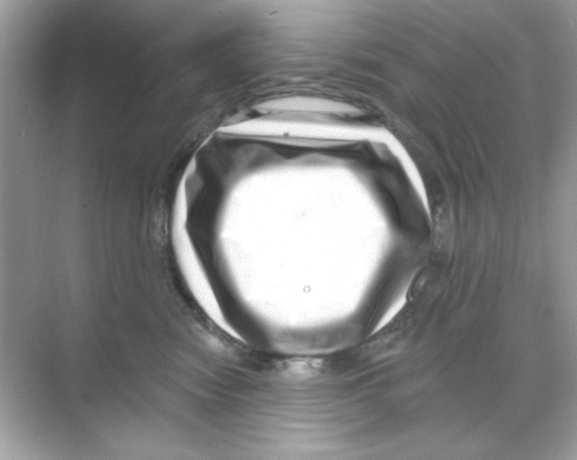 X0000068890474200606021924