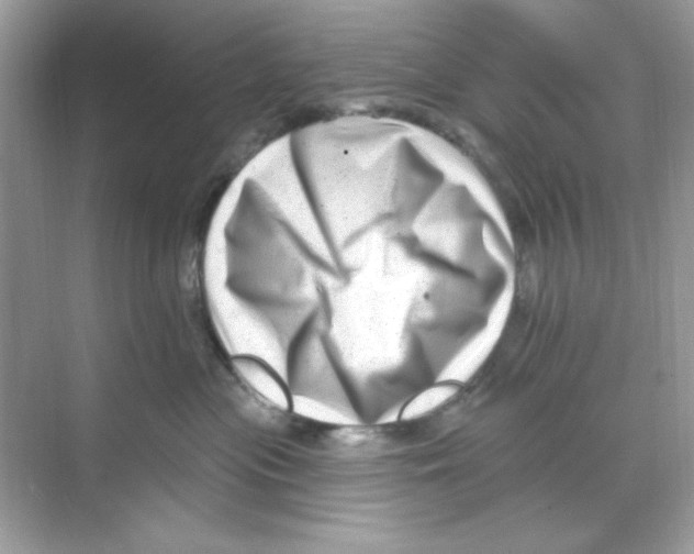 X0000068890477200606021924