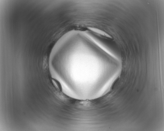 X0000068890478200606021924