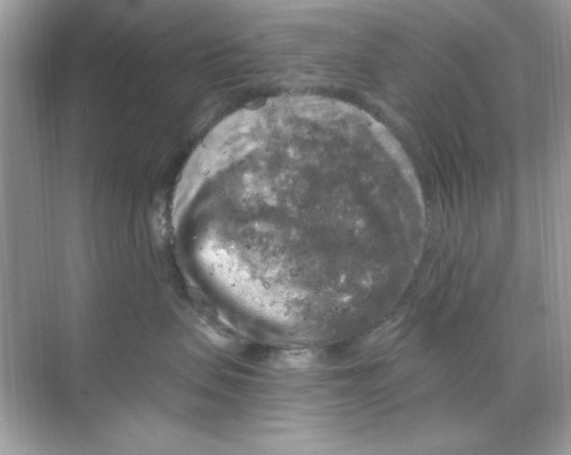 X0000068890479200606021924