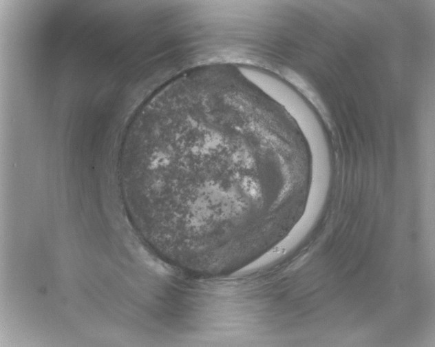 X0000068890481200606021923