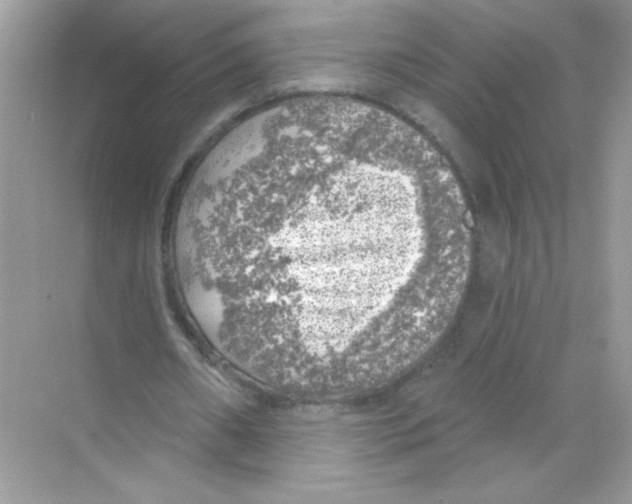 X0000068890482200606021923