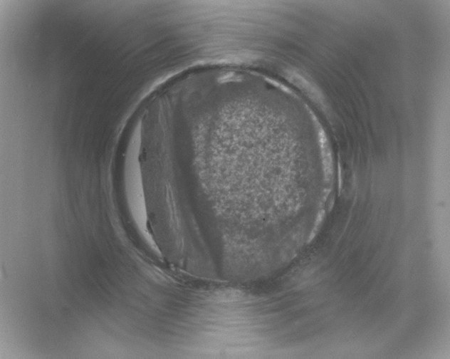 X0000068890483200606021923