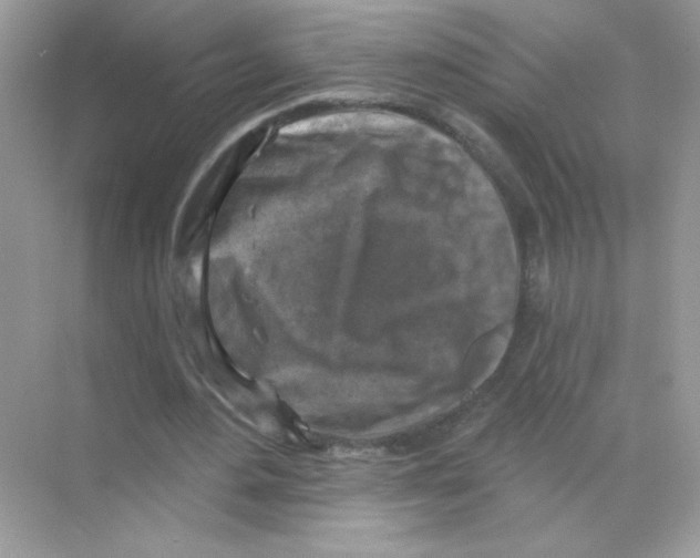 X0000068890484200606021923