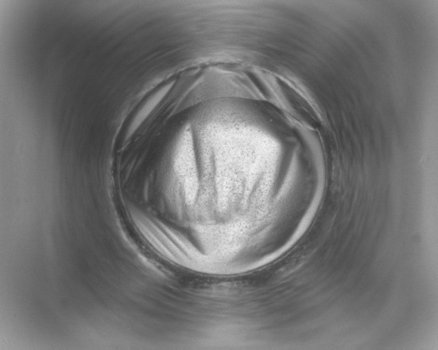 X0000068890485200606021923