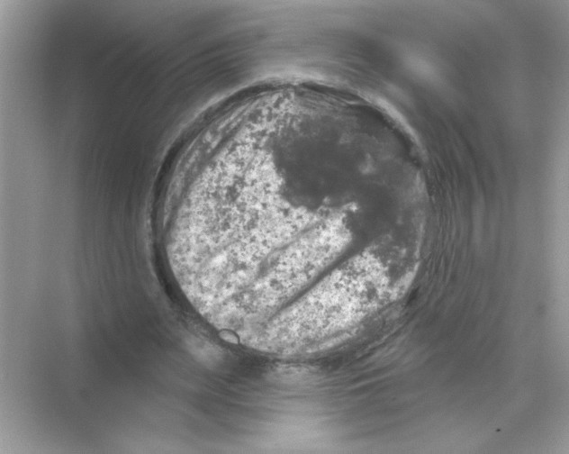 X0000068890487200606021923