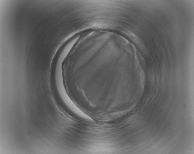 X0000068890488200606021923