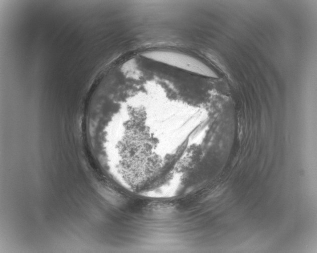 X0000068890491200606021923