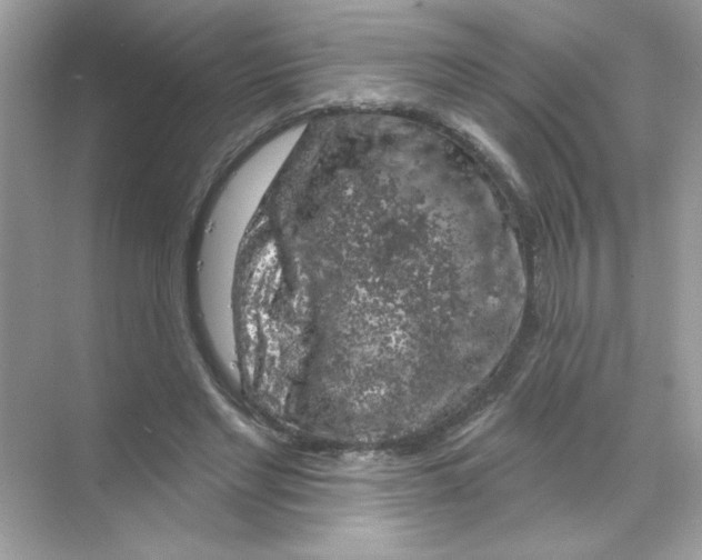 X0000068890493200606021923