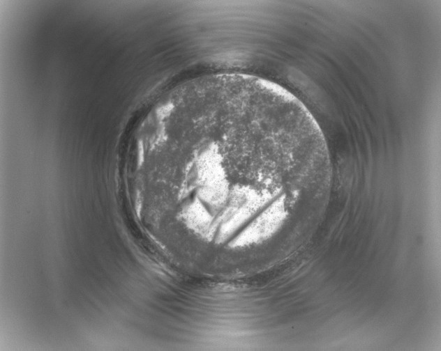 X0000068890494200606021923