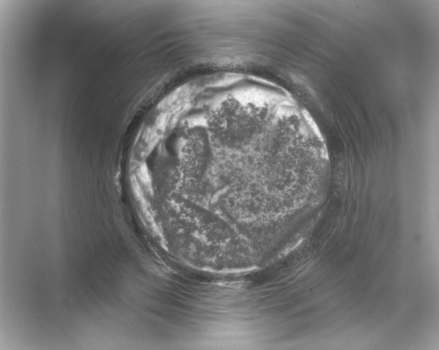 X0000068890495200606021923