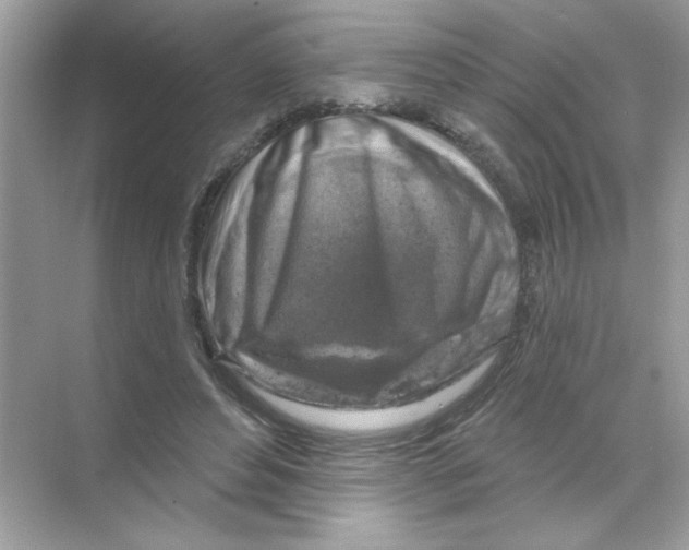 X0000068890496200606021923