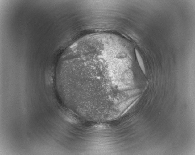 X0000068890499200606021923