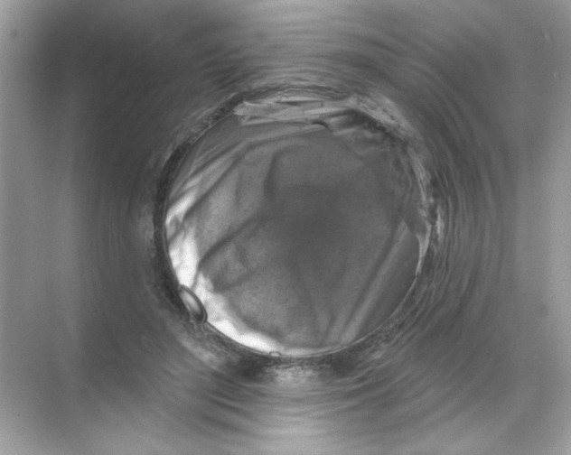 X0000068890500200606021923