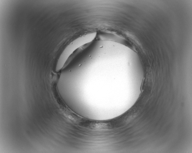 X0000068890501200606021923