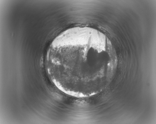 X0000068890502200606021923