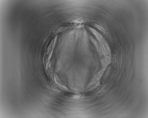 X0000068890504200606021923