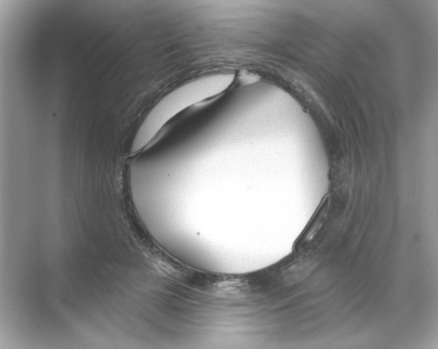 X0000068890505200606021923