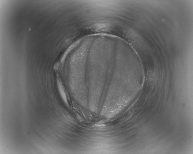 X0000068890506200606021923