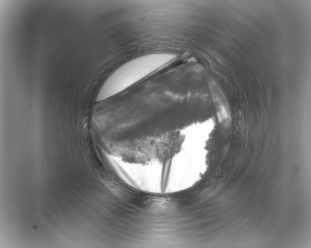 X0000068890507200606021923