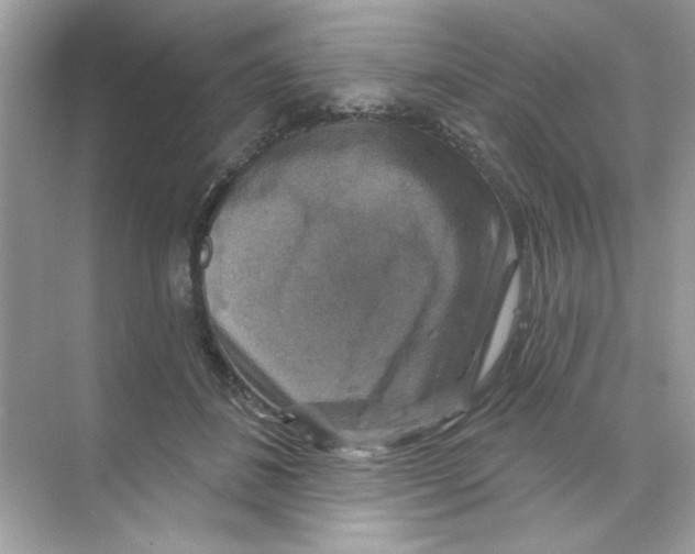 X0000068890508200606021923