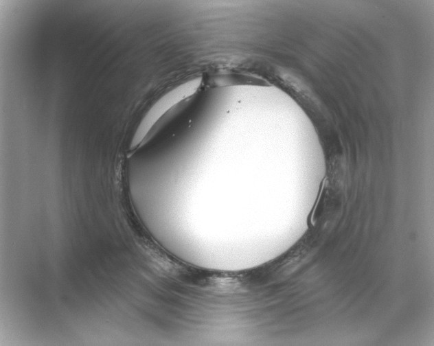 X0000068890509200606021923