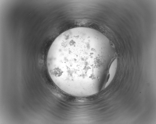 X0000068890510200606021923